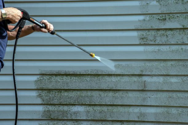Best Rust Removal  in Georgetown, IL